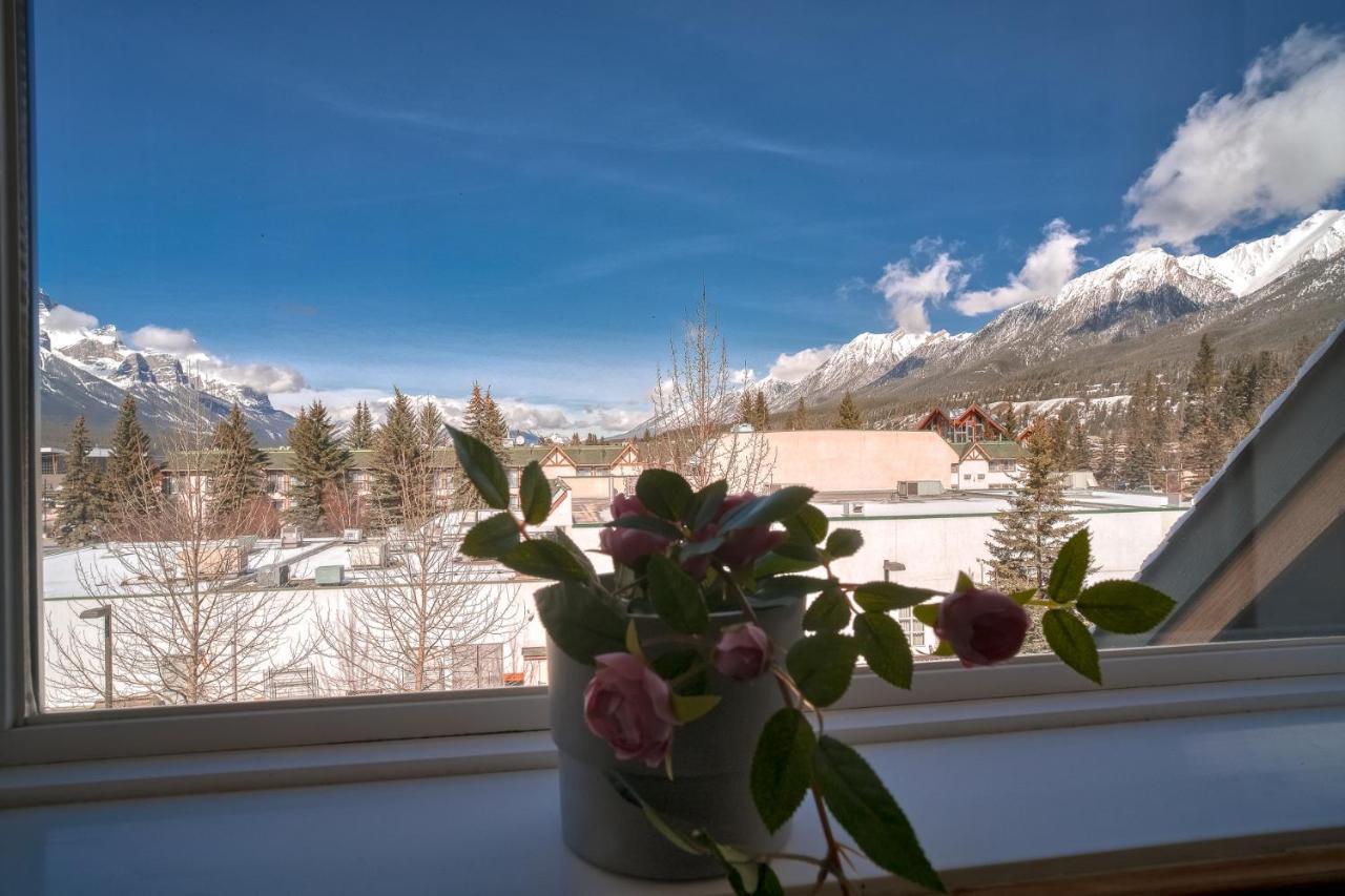 Incredible Mountain View Townhouse In Dt W/ A/c & U/a Parking Holiday home